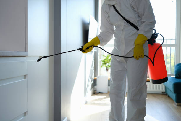 Best Emergency Mold Removal  in Shoshone, ID
